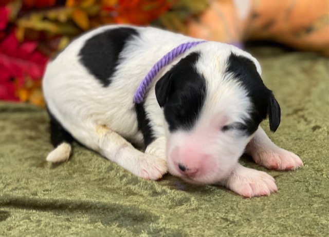 Grace1wk