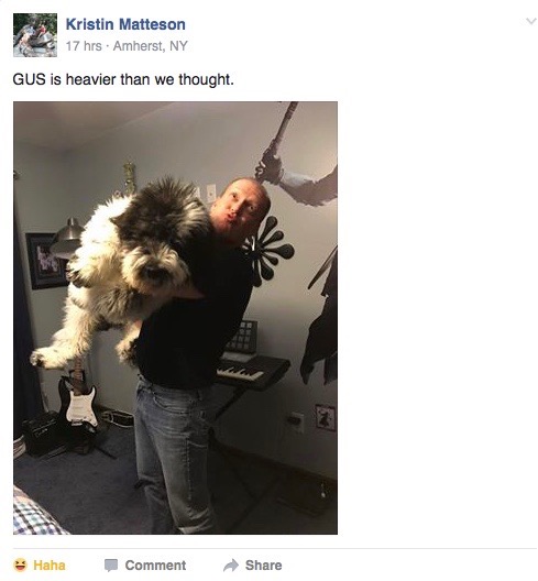 Screen Shot 2016-11-29 at 3.12.25 PM