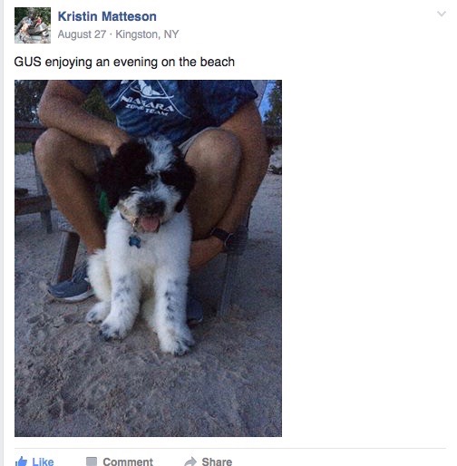 Screen Shot 2016-11-29 at 3.21.14 PM