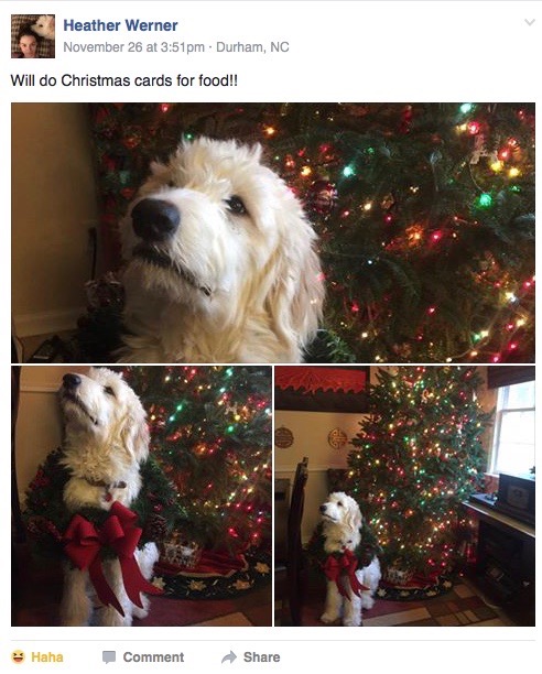 Screen Shot 2016-11-29 at 3.12.49 PM