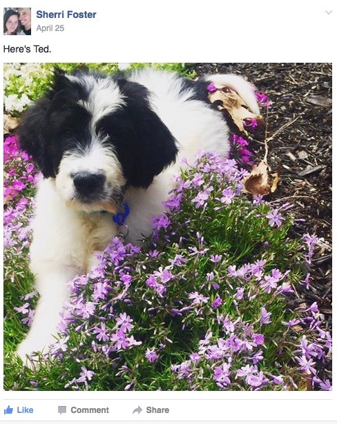 Screen Shot 2016-11-29 at 3.39.58 PM