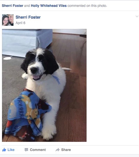 Screen Shot 2016-11-29 at 3.40.44 PM