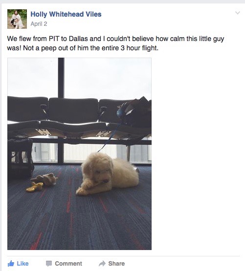 Screen Shot 2016-11-29 at 3.40.59 PM