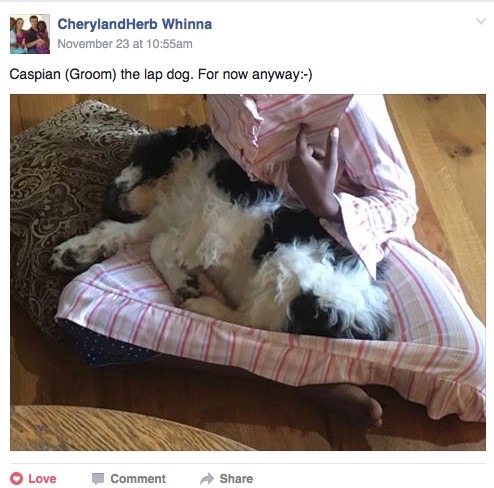 Screen Shot 2016-11-29 at 3.13.57 PM