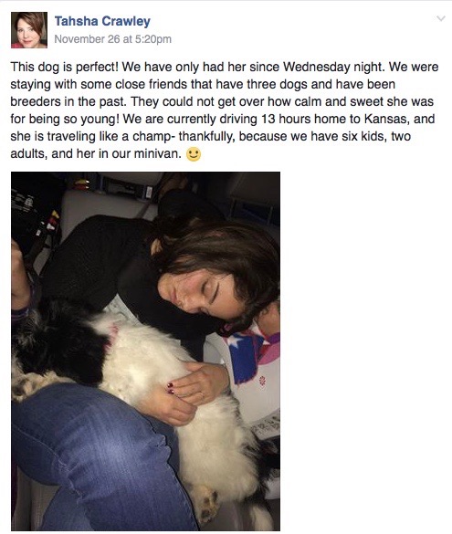 Screen Shot 2016-11-29 at 3.10.32 PM