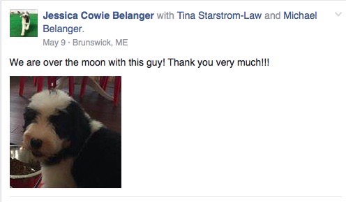 Screen Shot 2016-11-30 at 2.59.31 PM