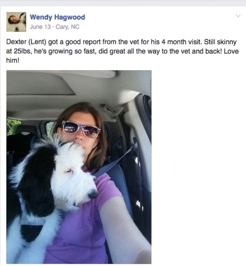 Screen Shot 2016-11-30 at 2.57.19 PM