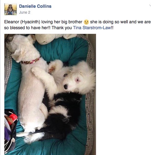 Screen Shot 2016-11-30 at 2.58.31 PM